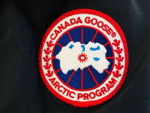 18年11月27日:画像6