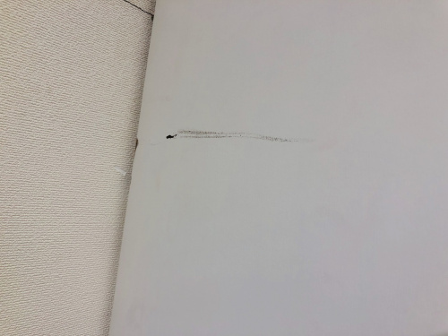 秦野　一人暮らし