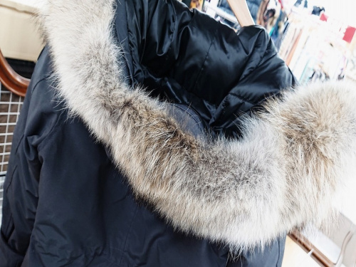 19年10月25日：画像６