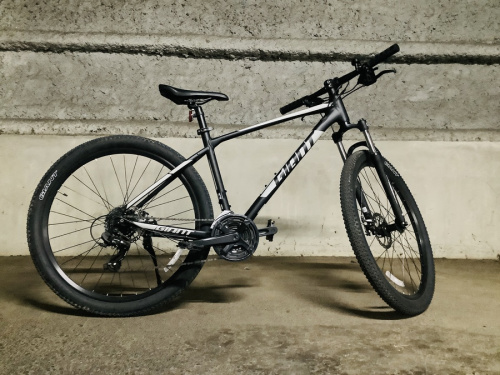 GIANTのトレファク秦野