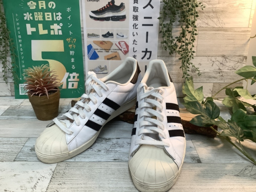 靴のスニーカー