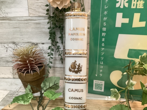 カミュのトレファク秦野
