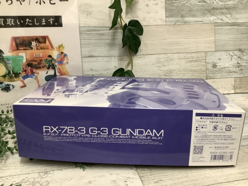 1/144 RG RX-78-3 G-3ガンダム プレバン限定のガンダム
