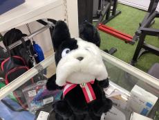 トレファク郡山安積店ブログ