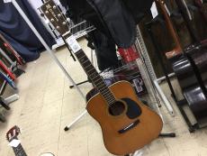 トレファク郡山安積店ブログ