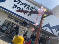 トレファク青葉台店ブログ