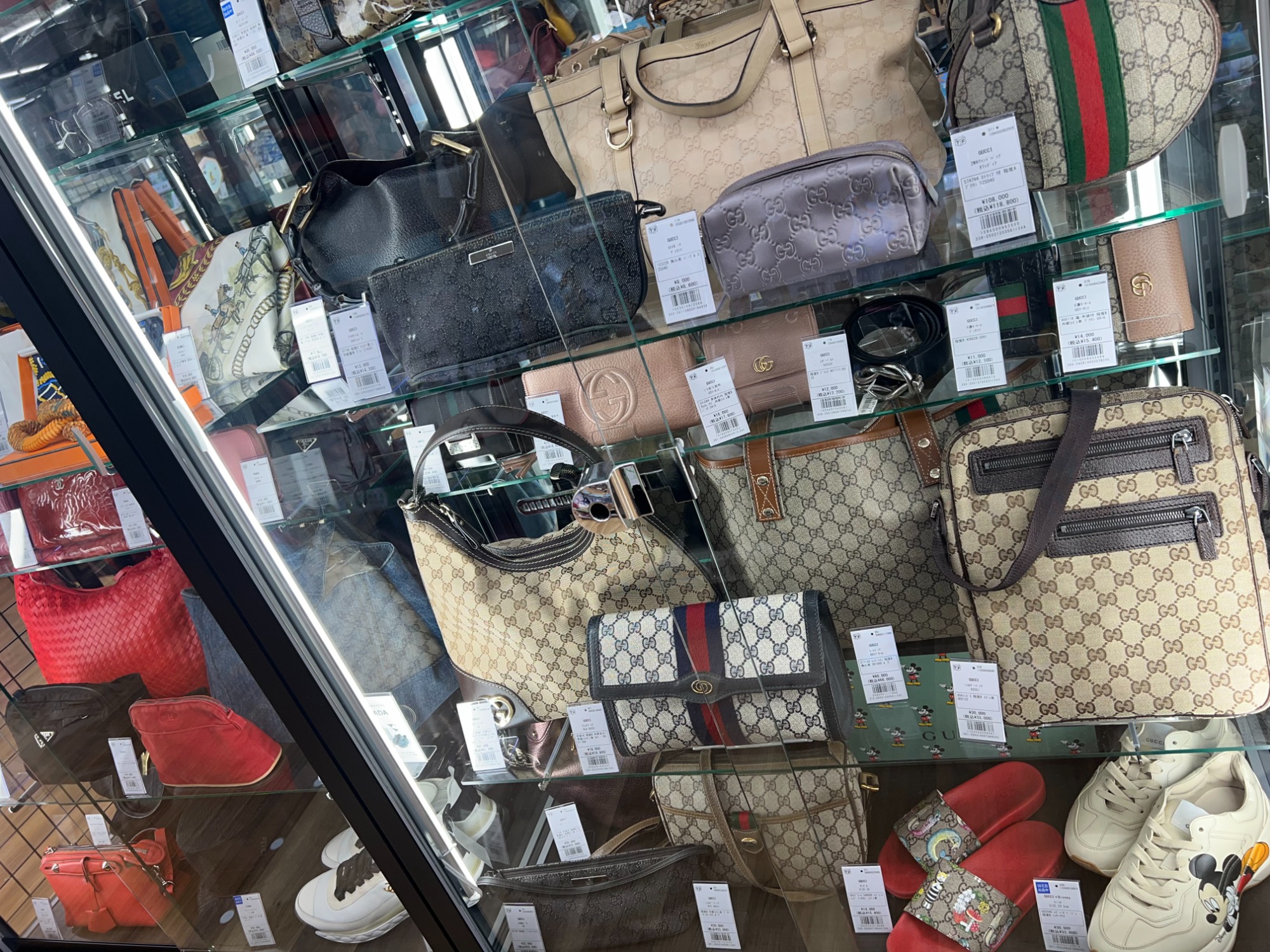 GUCCI(グッチ）のスニーカー TENNIS（テニス）1977が入荷いたし