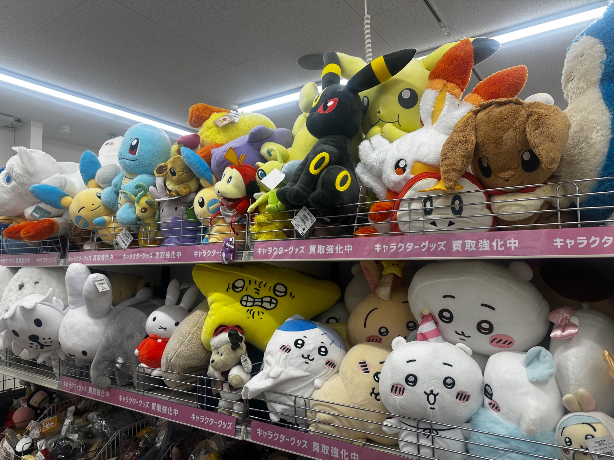 ポケモンカード メガリザードンXex SAR が入荷いたしました