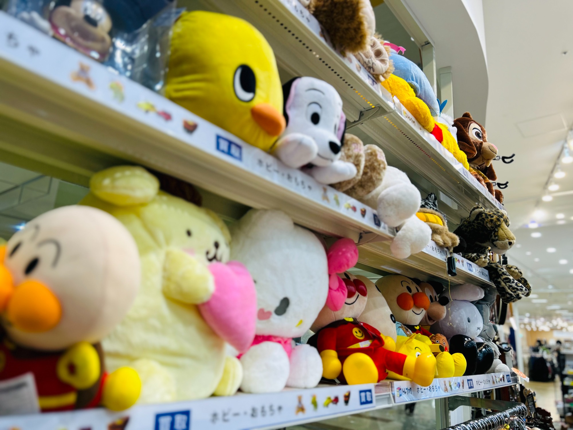 懐かしのSDガンダム カードダスが一挙買取入荷！！｜2024年05月13日