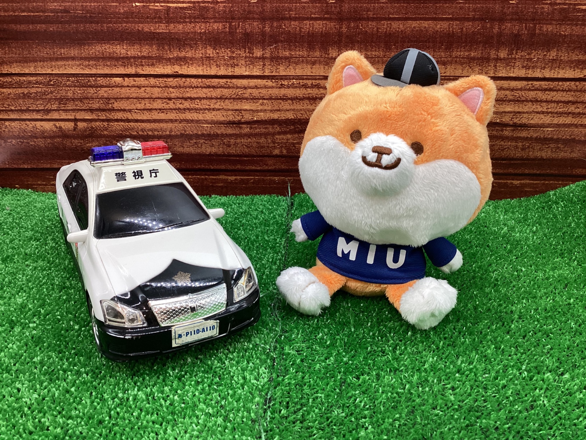 ポリまる 1周年マスコット MIU404 ポリまる 1周年マスコット TBS TBS