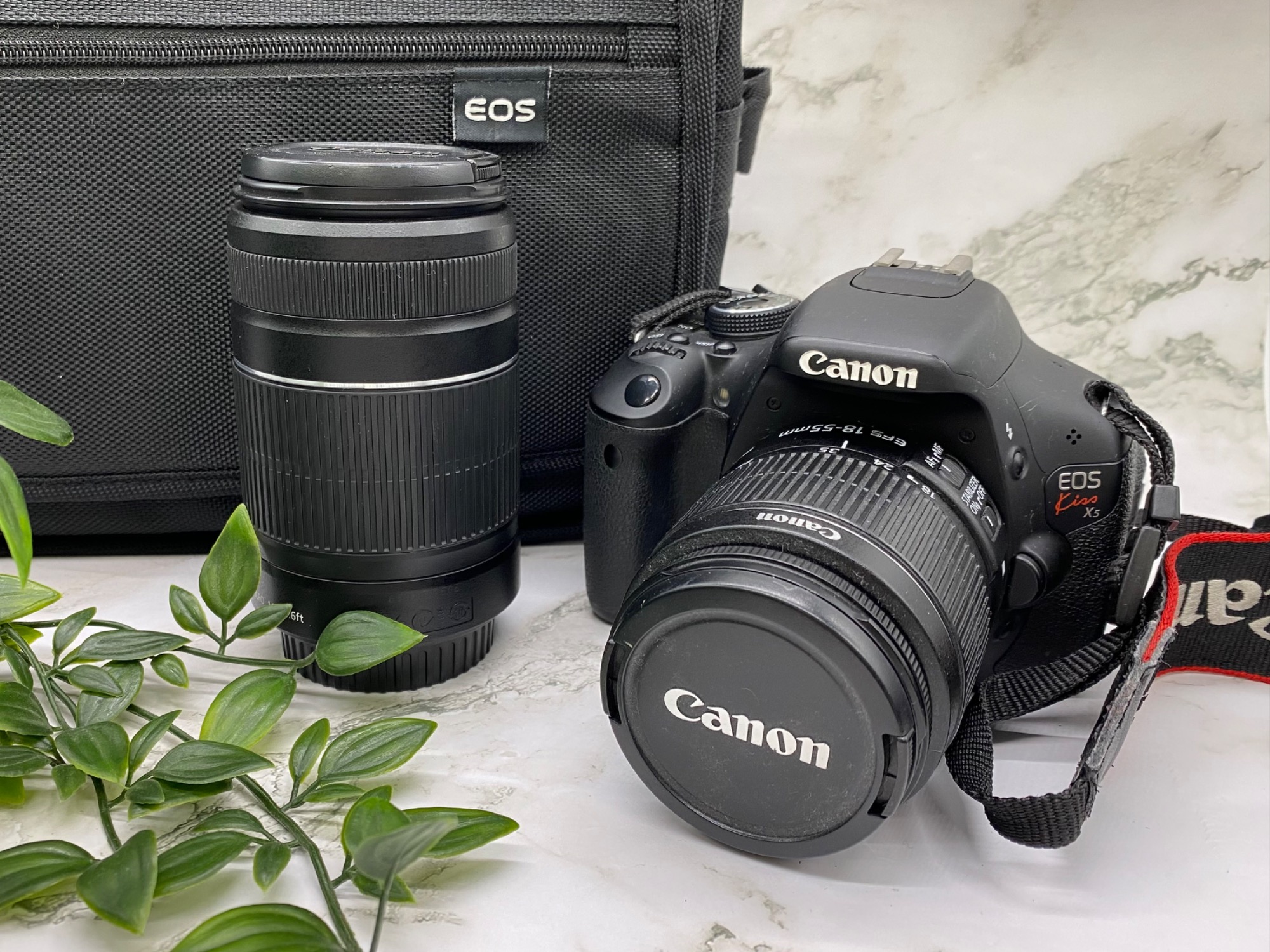 4月の毎週水曜日はトレポ5倍デー】今回はCanon/キャノンの一眼 4月の毎週水曜日はトレポ5倍デー】今回はCanon/キャノンの一眼