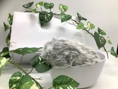 トレファク稲城若葉台店ブログ