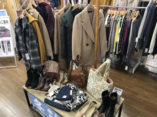 ニットのパンツ