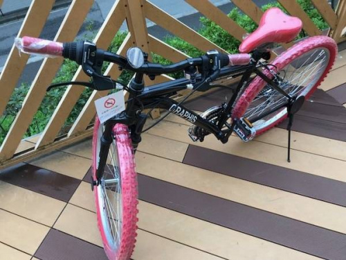 自転車のマウンテンバイク