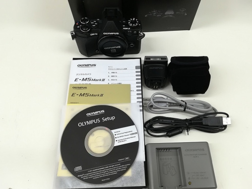 レンズのミラーレス一眼