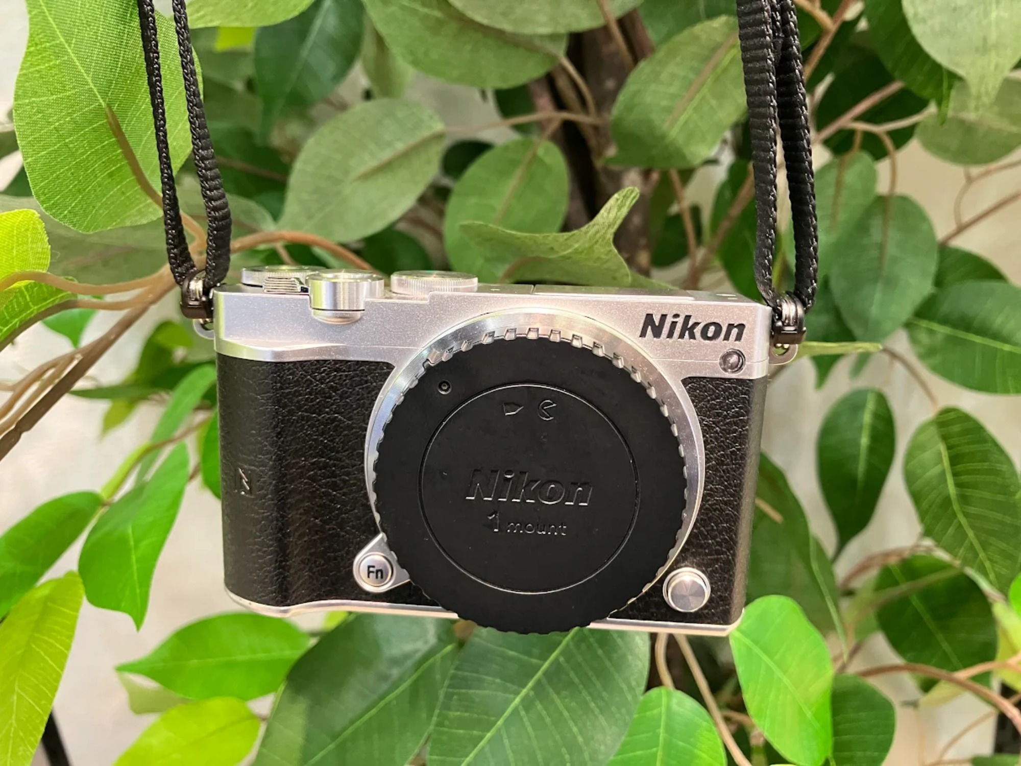 Nikonのデジタルカメラ Nikon 1 J5 ﾎﾞﾃﾞｨ が入荷しました！｜2026年01