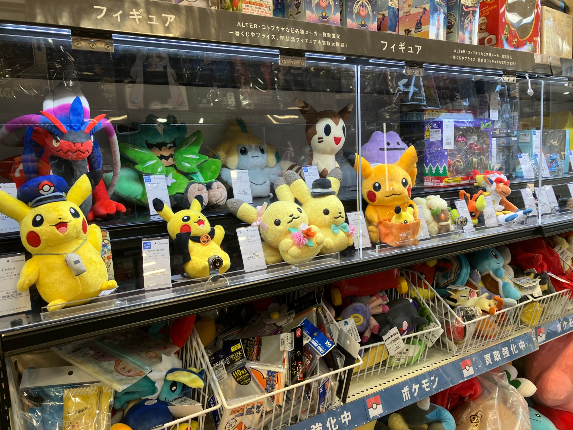 ポケモンカード 174/086 ゼクロムex BWRが入荷しました。｜2026年01月