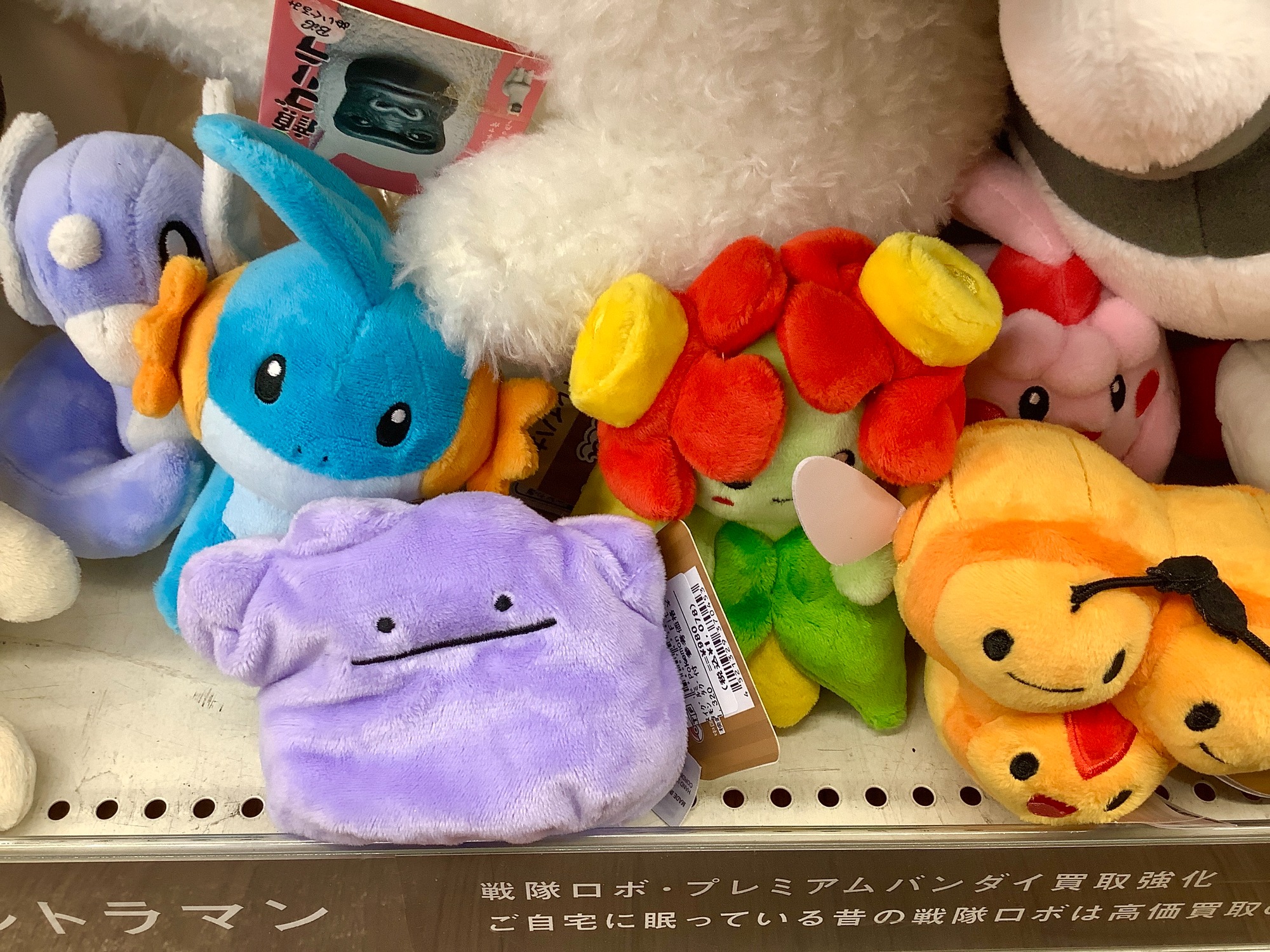 ポケモン】指人形が大量入荷しました。あなたの推しポケはいるでしょ