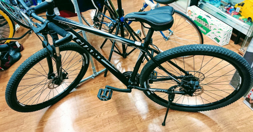 アウトドアの自転車