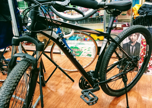 自転車のマウンテンバイク