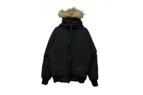 ビビーダウンジャケットのPatagonia CANADA GOOSE OSC CROSS
