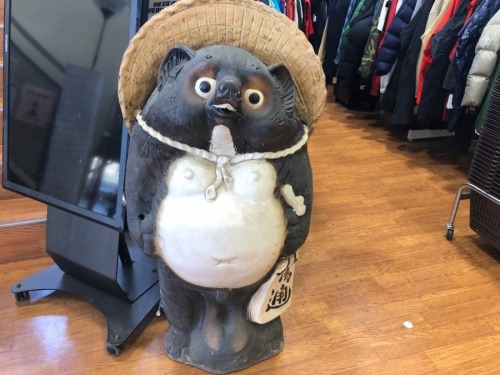 置物の信楽 タヌキ