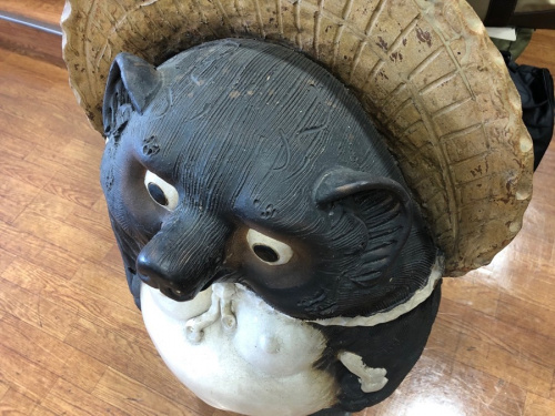 信楽 タヌキ