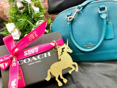LOUIS VUITTON ルイヴィトンのCOACH アクセサリー