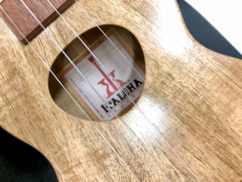 東京 武蔵村山 青梅 瑞穂 昭島 東大和 立川 東村山 西多摩 多摩地区 埼玉 入間 狭山 所沢 買取 買い取り 楽器 弦楽器 ウクレレ