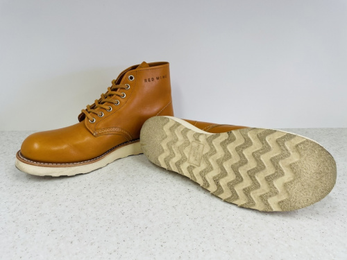 アイリッシュセッターのRED WING