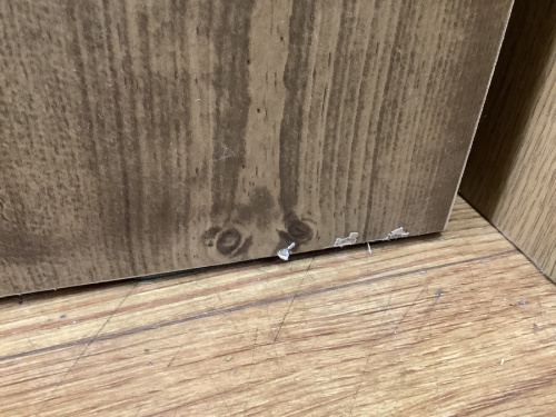 21年05月13日：画像１０