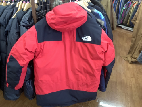 ダウンジャケットのTHE NORTH FACE