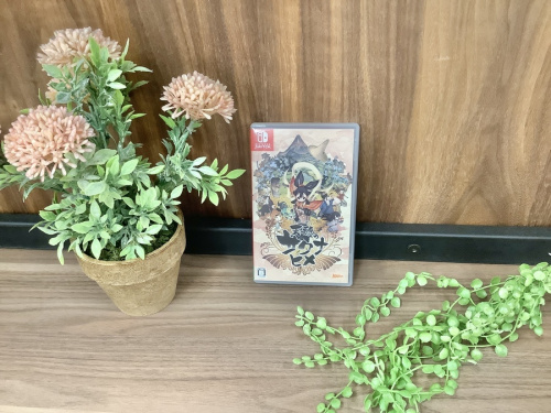 ゲームのゲームソフト