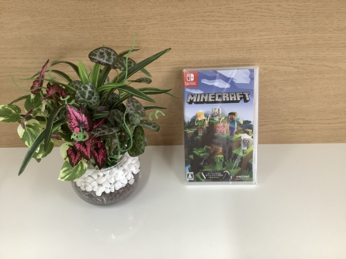 任天堂のゲームソフト