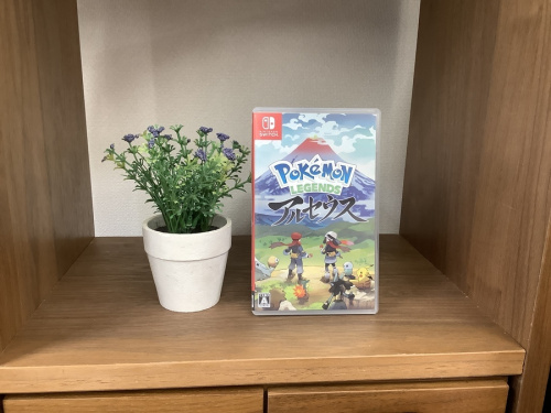 ゲームのゲームソフト