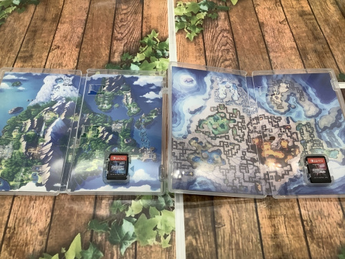 ポケットモンスター ブリリアントダイヤモンド シャイニングパール DOUBLE PACの立川