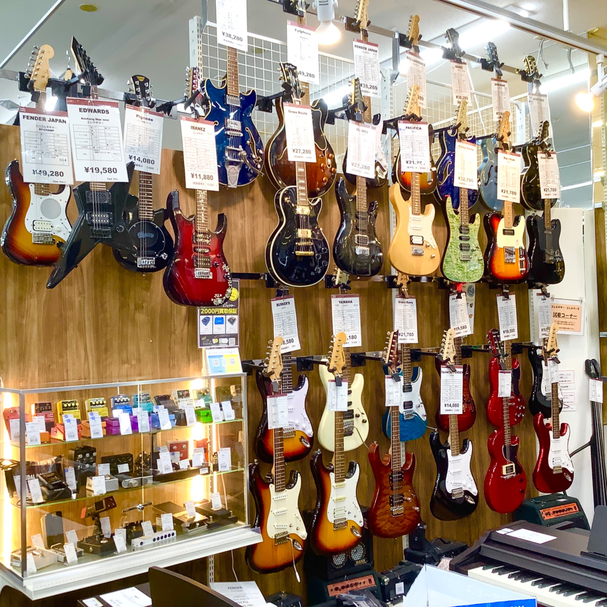 夢のハカランダ！！】Morris (モーリス) ドレッドノートタイプ・M-50