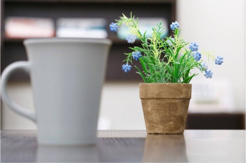 17年09月14日：画像６