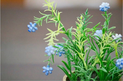 17年09月14日：画像９