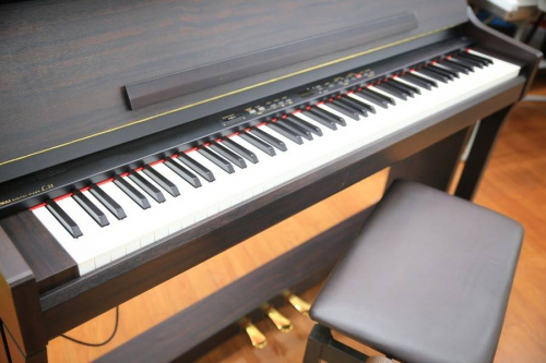 クリスマスのポイント5倍デー