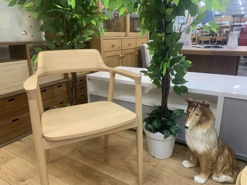 家具のイス
