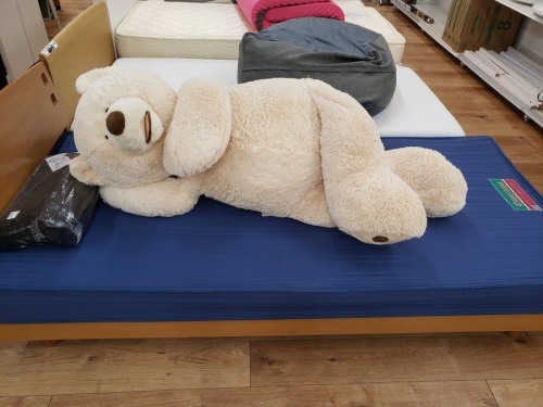 中古ベッド 千葉のシングルベッド