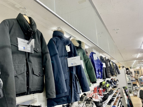 春物　買取強化