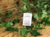 トレファク大船店ブログ