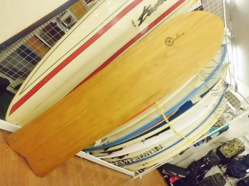 シーズンスポーツのマリンスポーツ