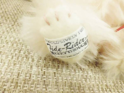 トレファクブログ画像３