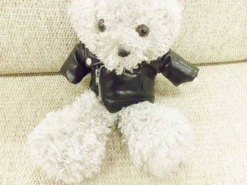 トレファクブログ画像５