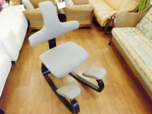 家具・インテリアのバランスチェア