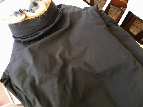 洋服買取　鎌倉市のトレファク　福袋