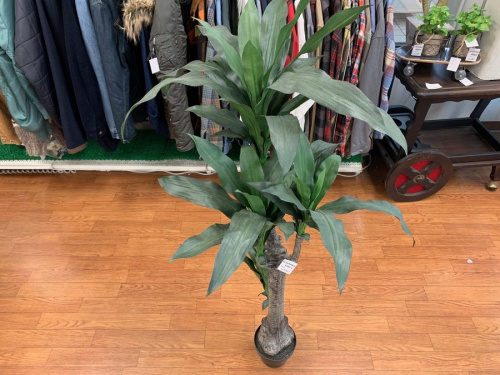 中古 家具の大船家具